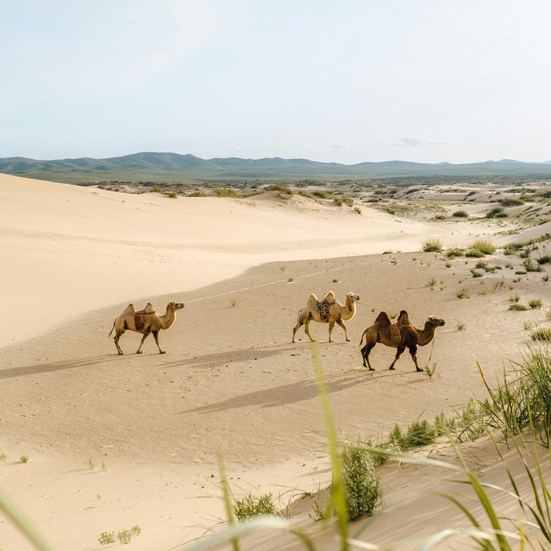 Mongolia